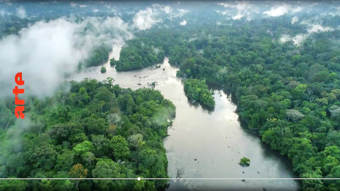 DELTAS DER WELT: Amazonas - Heilende Tropen